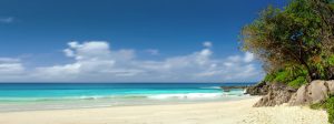 Escape to Paradise: A Complete Coconut Cove Experience 