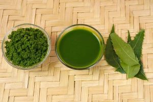 Green vs Red Kratom: What’s the Difference?
