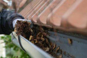Protect Your Home with Apex Restoration and Roofing’s Comprehensive Services