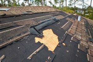 Bainbridge Roof Replacement Experts: Protect Your Home with Quality Roofing