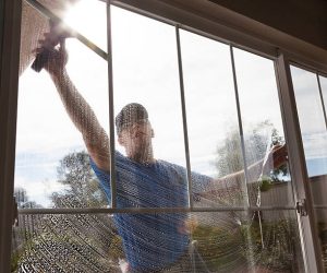 Top-Notch Window Cleaning Service in Nashville