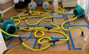 Expert Water Damage Restoration for Homes and Businesses in Visalia