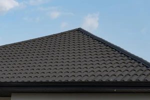 Why Nokomis Homeowners Choose Our Roofing Services