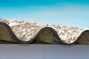 How an Asbestos Survey Protects Your Health and Home