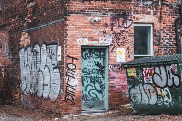 Small Dumpster Rentals for Yard Waste & Household Junk