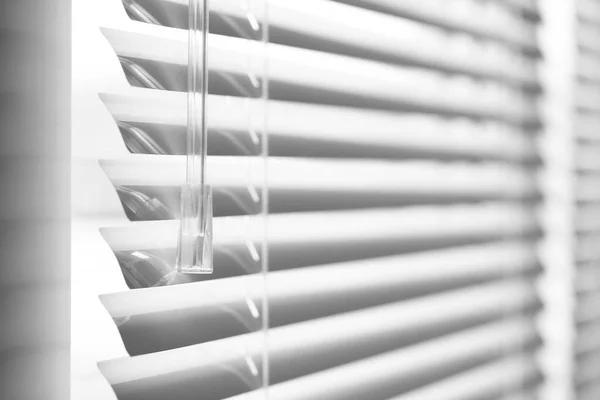 Trusted Blinds Southampton Service for Modern Living