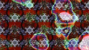 Feel The Rhythm Of Reel Groovy Experiences