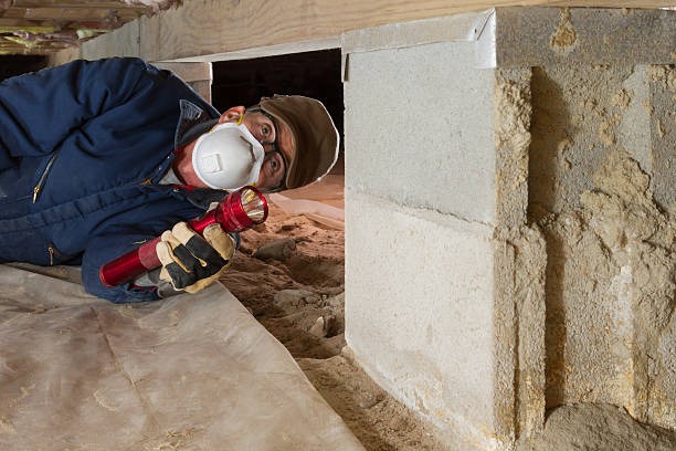 Top-Rated Crawl Space Waterproofing Contractors in Prince George