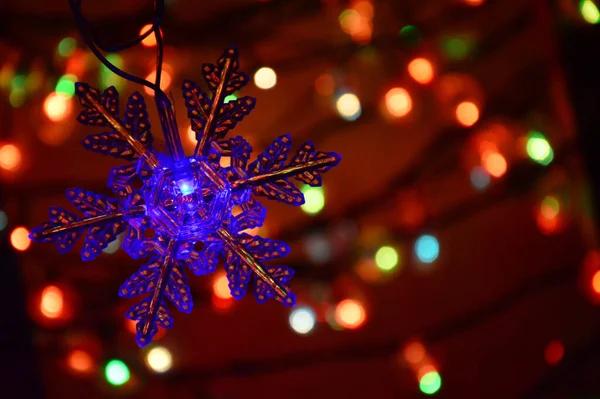 Affordable Christmas Light Installers Brunswick for Homes and Businesses