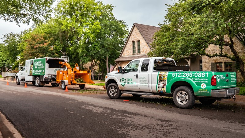 Trusted Tree Service in Shelton with Experienced Arborists