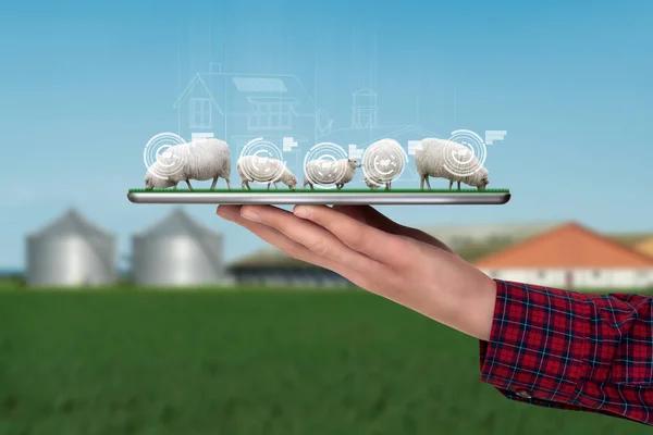 The Impact of Real-Time Tracking on Shipping to Canada