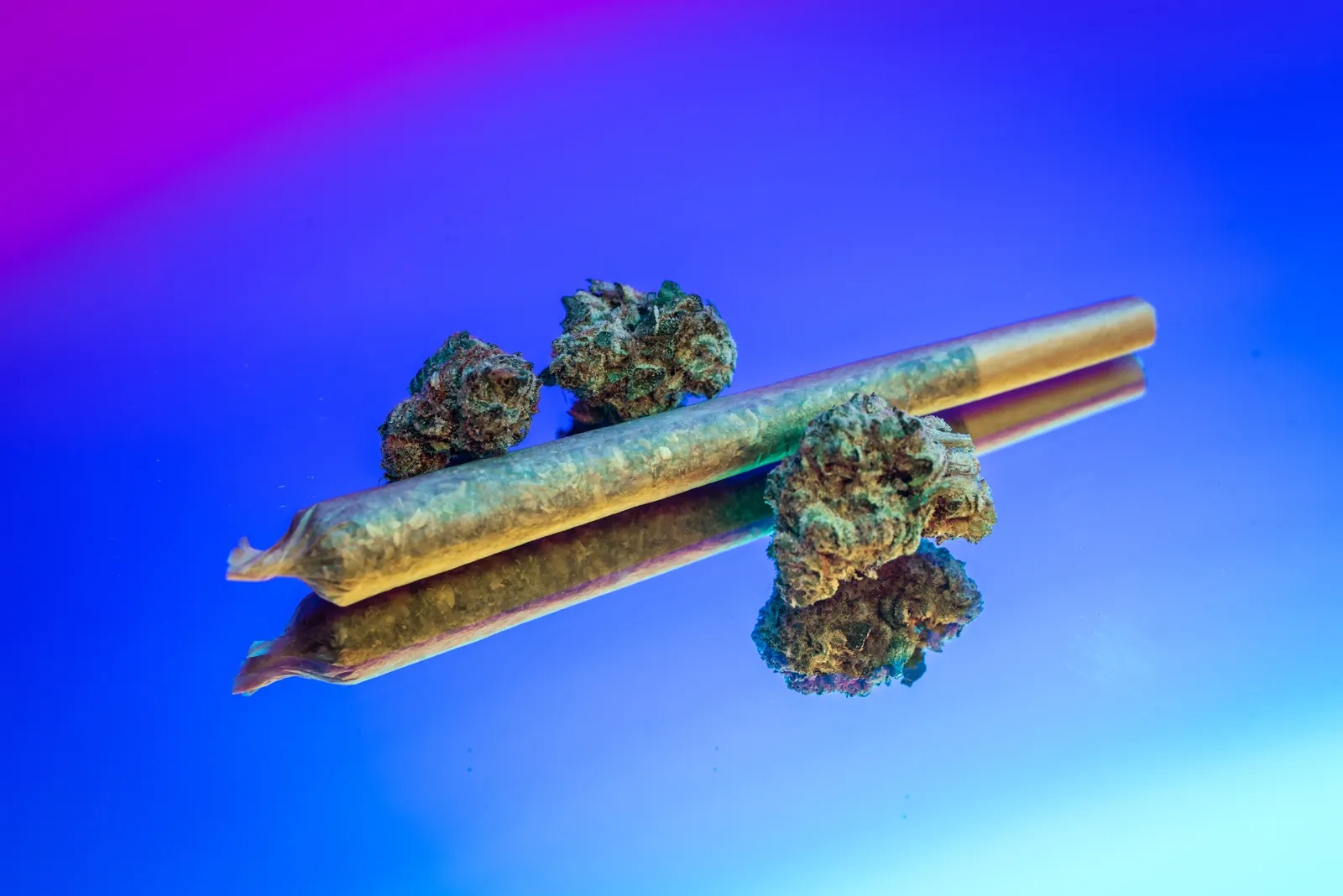 Learn More About Cannabis Using Wiet Forum Expert Conversations