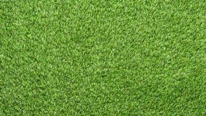 Best Lawn Care Service Near Me Tips for Finding Professional Lawn Maintenance