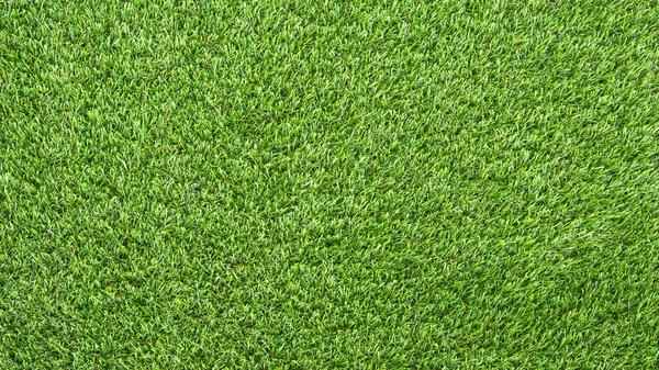 Best Lawn Care Service Near Me Tips for Finding Professional Lawn Maintenance