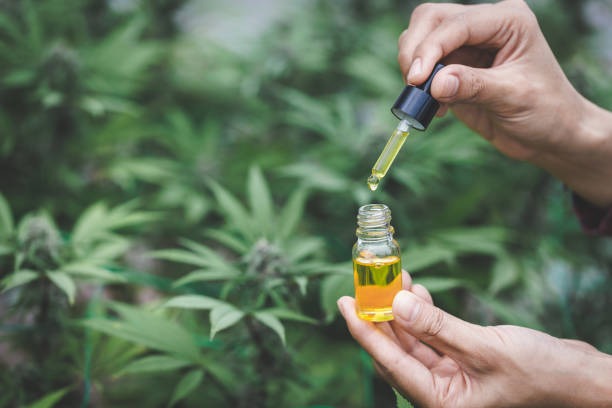 THCA Flower and THC Disposable Vapes Which Delivers Better Results